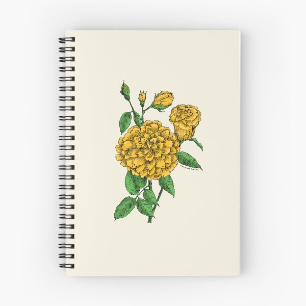 Item preview, Yellow Flat Rose Bloom Full 26-40 Petals In 3+ Rows designed and sold by Rachael Taylor.