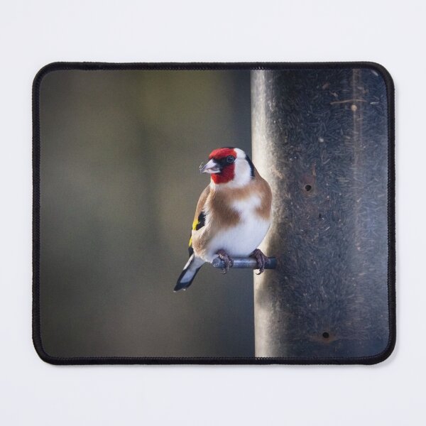 Item preview, Goldfinch on the feeder designed and sold by StelleryART.