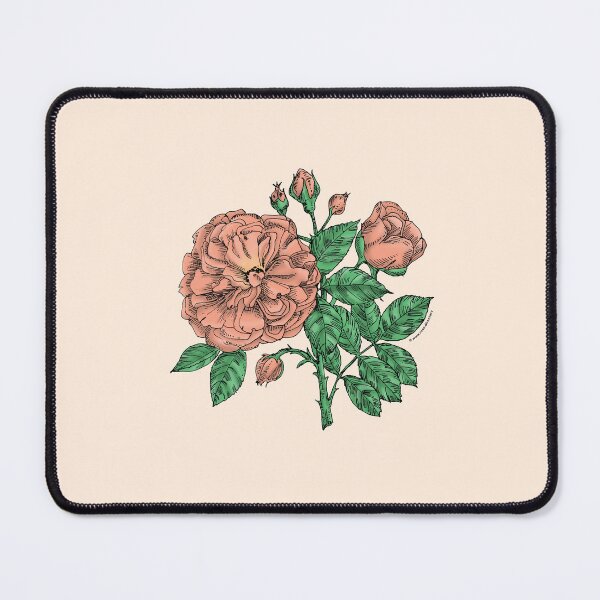 Item preview, Apricot Flat Rose Bloom Very Full 40+ Petals In 3+ Rows designed and sold by Rachael Taylor.