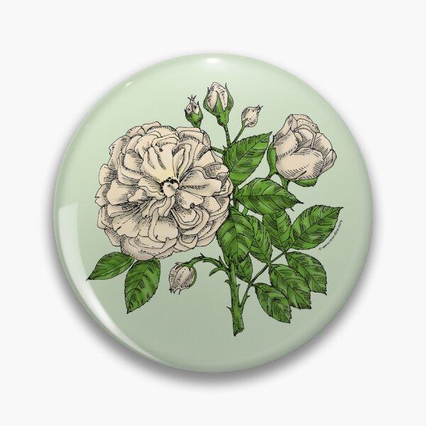 Item preview, Cream Flat Rose Bloom Very Full 40+ Petals In 3+ Rows designed and sold by Rachael Taylor.