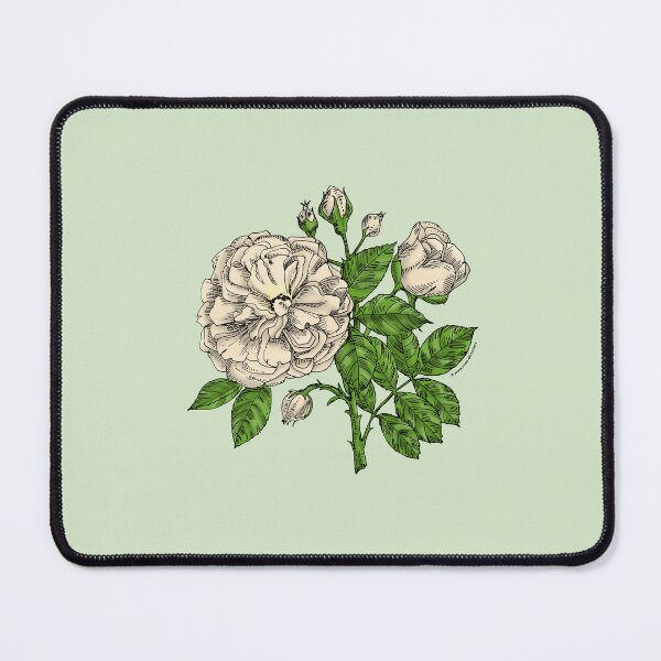 Item preview, Cream Flat Rose Bloom Very Full 40+ Petals In 3+ Rows designed and sold by Rachael Taylor.