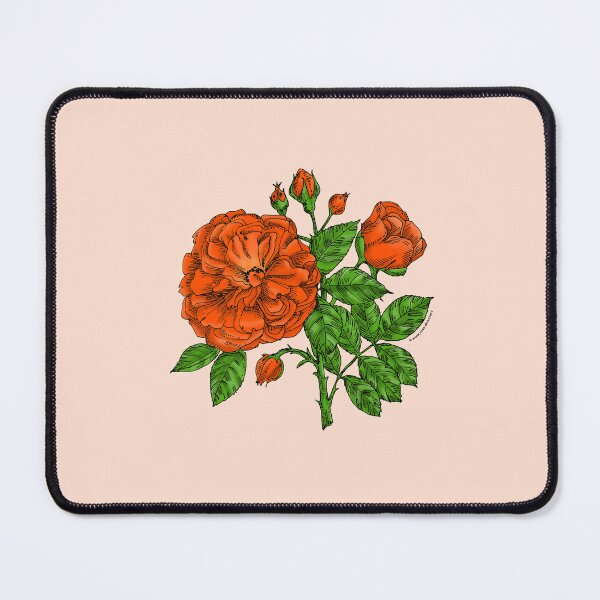 Item preview, Orange Flat Rose Bloom Very Full 40+ Petals In 3+ Rows designed and sold by Rachael Taylor.