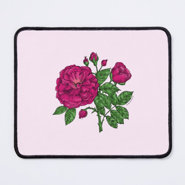 Item preview, Deep Pink Flat Rose Bloom Very Full 40+ Petals In 3+ Rows designed and sold by Rachael Taylor.