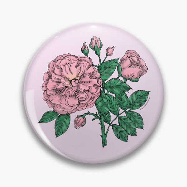 Item preview, Light Pink Flat Rose Bloom Very Full 40+ Petals In 3+ Rows designed and sold by Rachael Taylor.