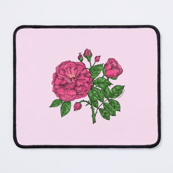 Item preview, Mid Pink Flat Rose Bloom Very Full 40+ Petals In 3+ Rows designed and sold by Rachael Taylor.
