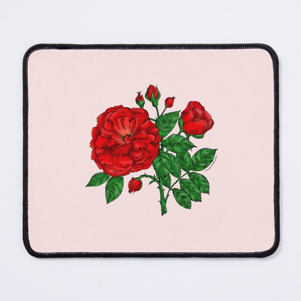 Item preview, Bright Red Flat Rose Bloom Very Full 40+ Petals In 3+ Rows designed and sold by Rachael Taylor.