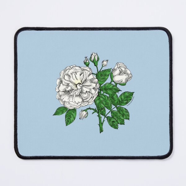 Item preview, White Flat Rose Bloom Very Full 40+ Petals In 3+ Rows designed and sold by Rachael Taylor.