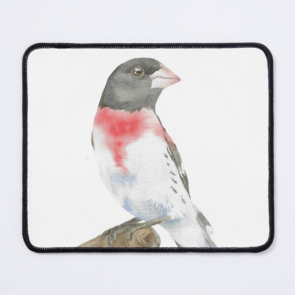 Item preview, Rose-breasted grosbeak bird watercolor portrait designed and sold by L'Atelier Oranjade.