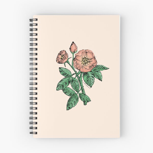 Item preview, Apricot Globular Rose Bloom Single 1-7 Petals Almost Flat designed and sold by Rachael Taylor.