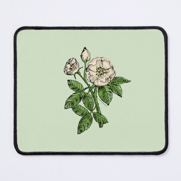 Item preview, Cream Globular Rose Bloom Single 1-7 Petals Almost Flat designed and sold by Rachael Taylor.