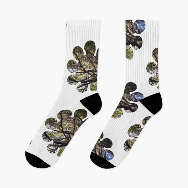 Item preview, Forest from Below: A Glimpse of Nature's Wonder designed and sold by tadeba.