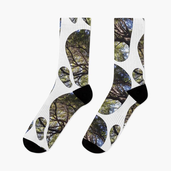 Item preview, Forest from Below: A Glimpse of Nature's Wonder designed and sold by tadeba.