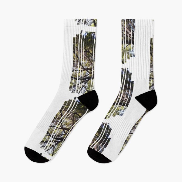 Item preview, Forest from Below: A Glimpse of Nature's Wonder designed and sold by tadeba.