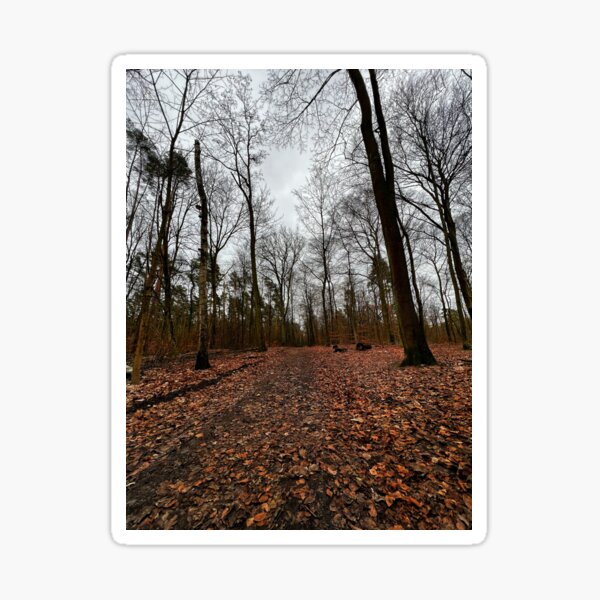 Forest Sticker