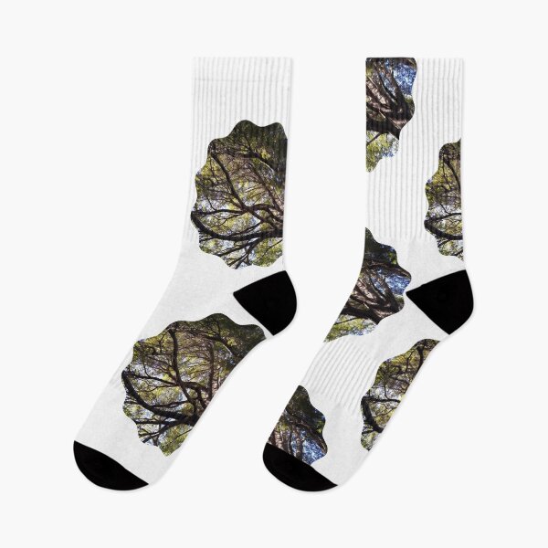 Item preview, Forest from Below: A Glimpse of Nature's Wonder designed and sold by tadeba.