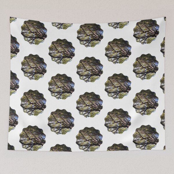 Item preview, Forest from Below: A Glimpse of Nature's Wonder designed and sold by tadeba.