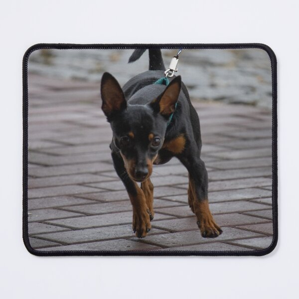Item preview, Dog's Leap of Joy designed and sold by Carlos Monteiro.