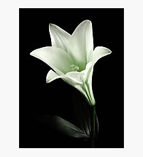 Glamour Photographic Print