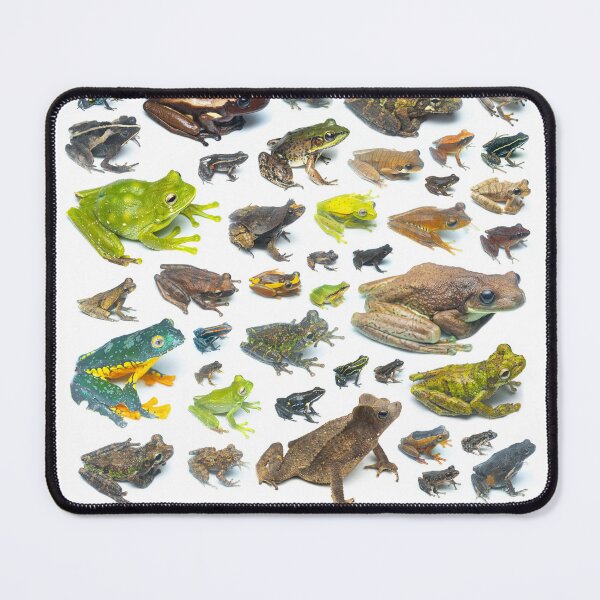 Item preview, Frog of Yasuni National Park - Ecuador designed and sold by vincentpremel.