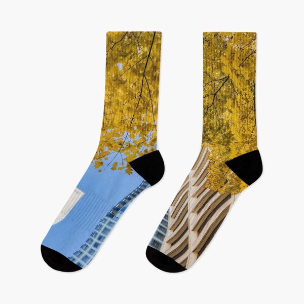 Item preview, Fall in City designed and sold by jvnimages.