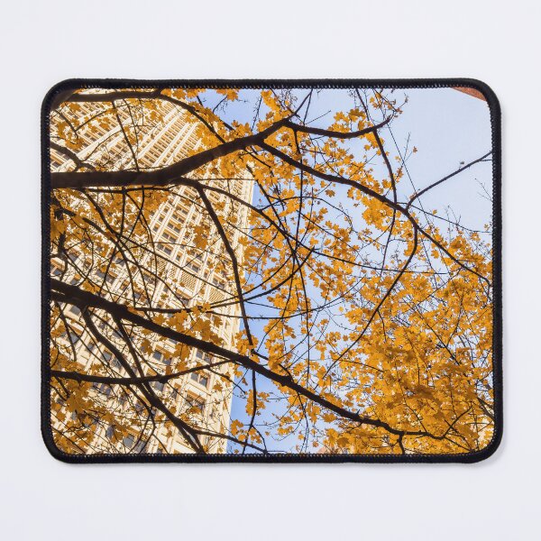Item preview, Seattle Fall designed and sold by jvnimages.