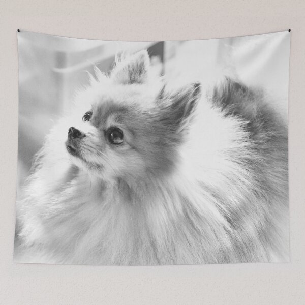 Item preview, pomeranio designed and sold by Sandra Moore.
