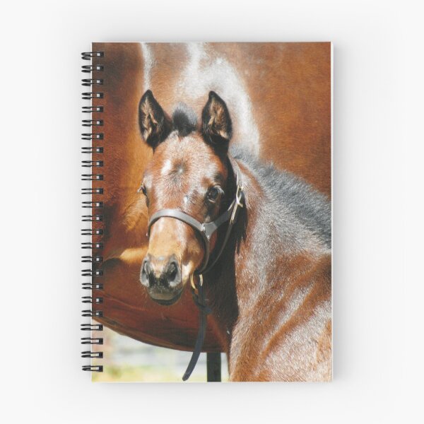 Item preview, Thoroughbred Filly designed and sold by PawPrintArtist.
