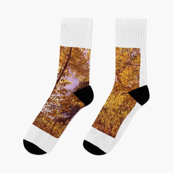 Item preview, Autumn All Around designed and sold by Jim Love.