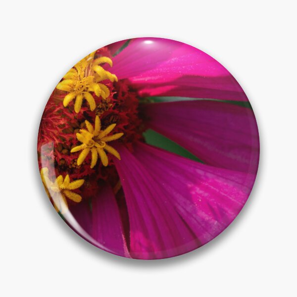 Item preview, Close-Up of Pink Zinnia designed and sold by Gerda Grice Photography.