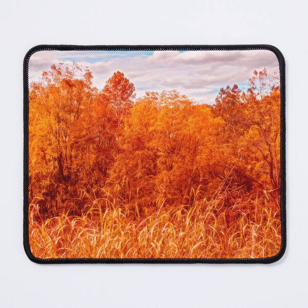 Item preview, Color Play designed and sold by Jim Love.