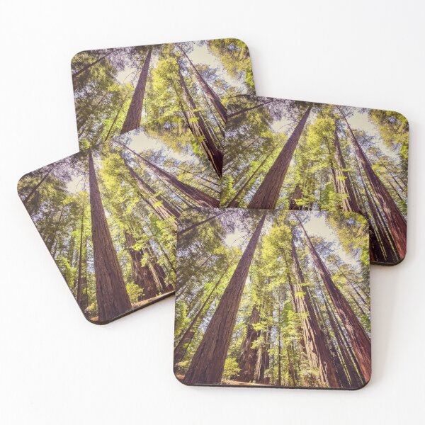 Item preview, Coastal Redwoods designed and sold by jvnimages.