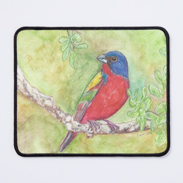 Item preview, Painted Bunting designed and sold by Griffletta.