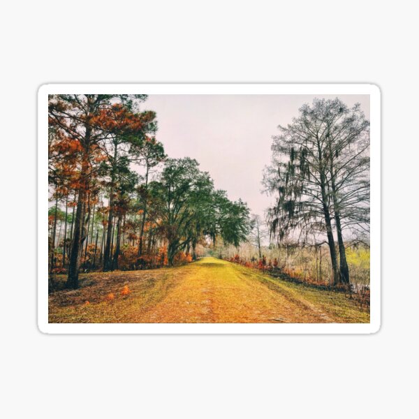 Item preview, A Walk In The Park In St Marks  designed and sold by Jason Tompkins.