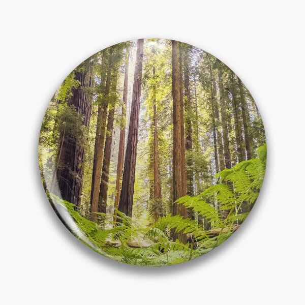 Item preview, Coastal Redwoods designed and sold by jvnimages.