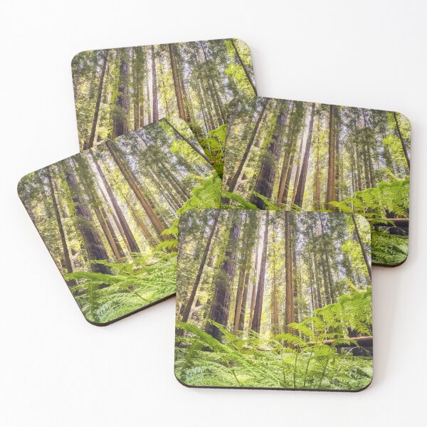 Item preview, Coastal Redwoods designed and sold by jvnimages.