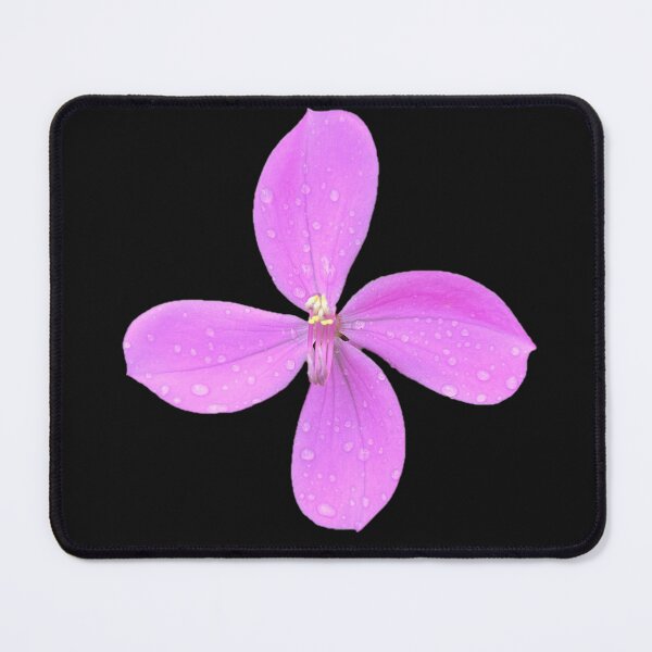Item preview, Nature's Pinwheel designed and sold by ascherf.