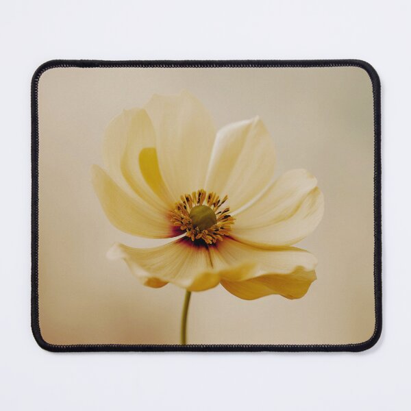 Item preview, ONE FLOWER designed and sold by Swooncake Press.