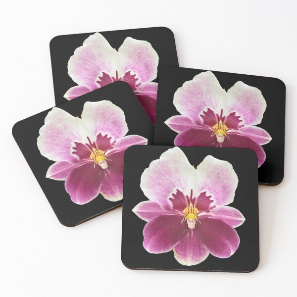 Item preview, Miltoniopsis Orchid designed and sold by ascherf.