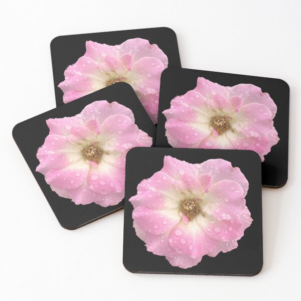 Item preview, Groundcover Rose designed and sold by ascherf.