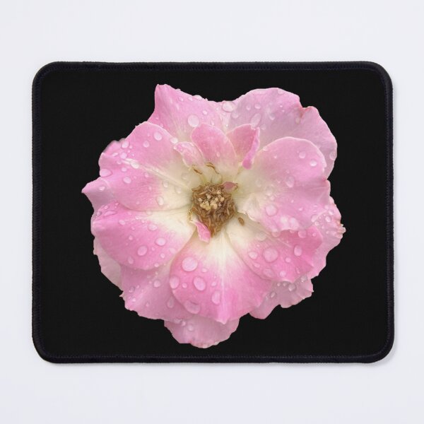 Item preview, Groundcover Rose designed and sold by ascherf.