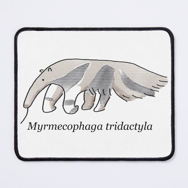 Item preview, Anteater (tamanduá) designed and sold by Tianguistore.