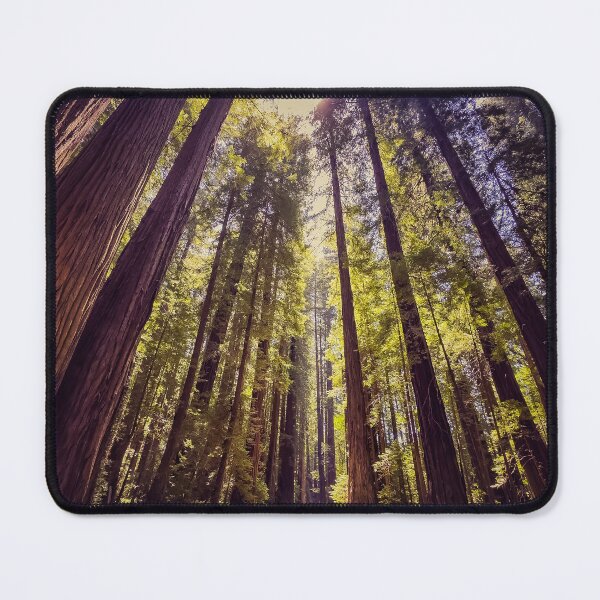 Item preview, Redwoods designed and sold by jvnimages.