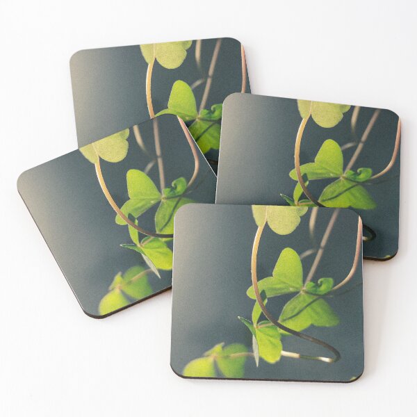 Item preview, clovers designed and sold by universosuave.