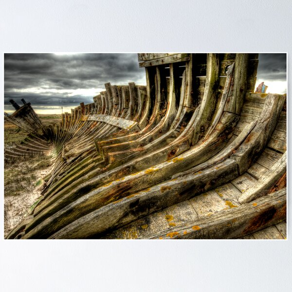 Dead boat skeleton Poster