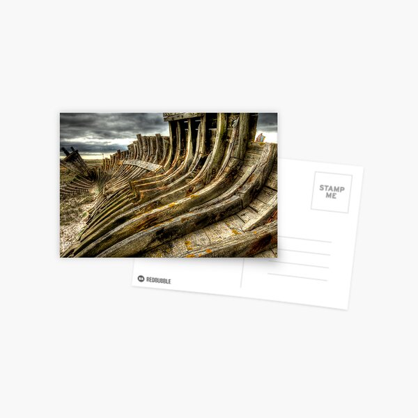 Dead boat skeleton Postcard