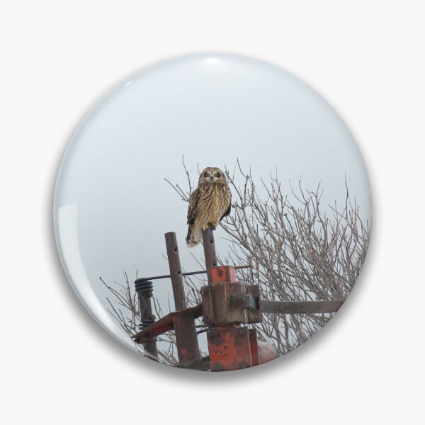 Item preview, Short eared owl designed and sold by locustgirl.