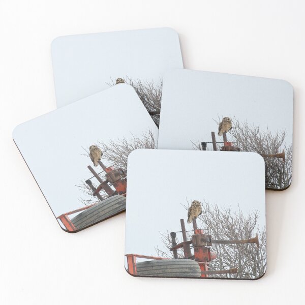 Item preview, Short eared owl designed and sold by locustgirl.
