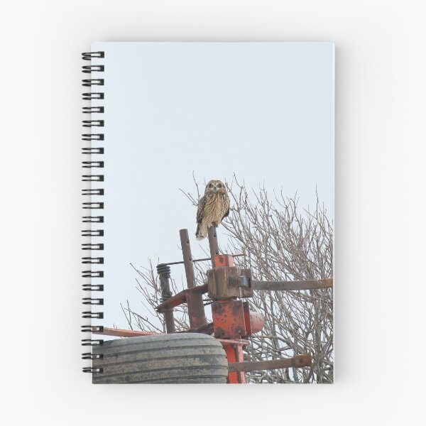 Item preview, Short eared owl designed and sold by locustgirl.