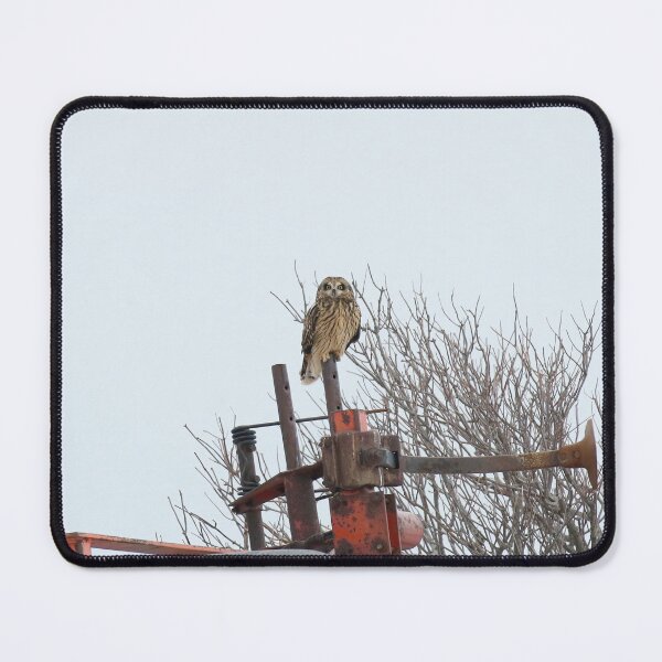 Item preview, Short eared owl designed and sold by locustgirl.