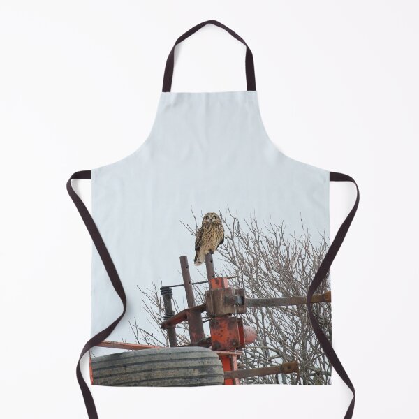 Item preview, Short eared owl designed and sold by locustgirl.